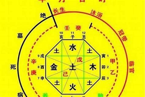 八字 星|生辰八字算命、五行喜用神查询（免费测算）